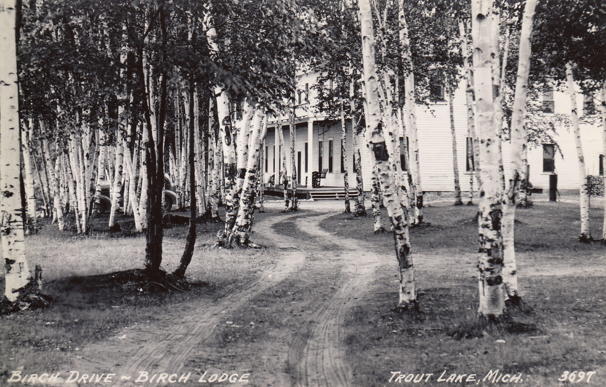 birch lodge #11